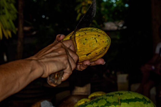 ECO TOUR Playa El Limon (Excursion Multi-activites) - Rancho La Cueva brings food, rest, and facilities