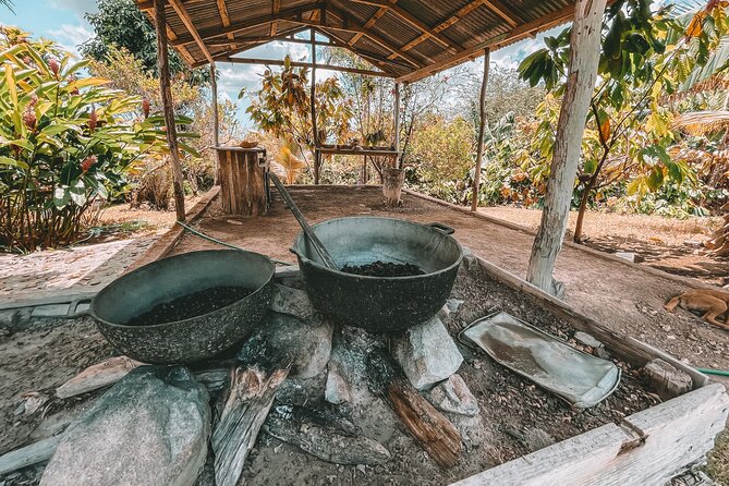 ECO TOUR Playa El Limon (Excursion Multi-activites) - What $149 buys you