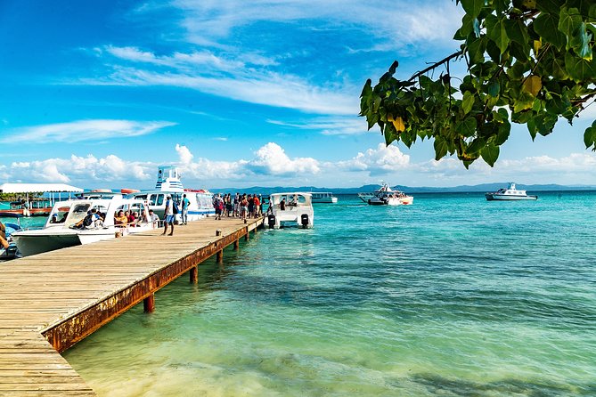 El Limon Waterfall and Bacardi Island Tour from Punta Cana with Lunch Included - Horseback riding through farms and forest
