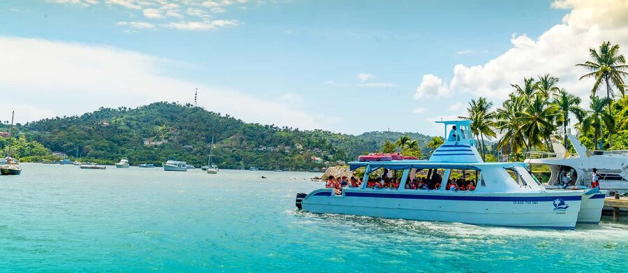 El Limon Waterfall & Bacardi Island Full-Day Adventure - Whale season changes the final stop