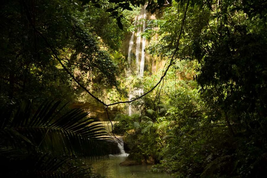 El Limón: Waterfall Hiking Tour with Lunch - Key points to know before booking