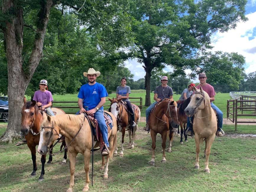 El Limón: Waterfall Horseriding Tour with Lunch - Key points at a glance
