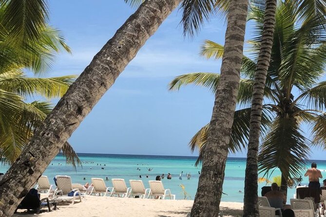 Excelence El Carmen - Round Trip Shuttle - Punta Cana Airport - How to make the airport pickup easier