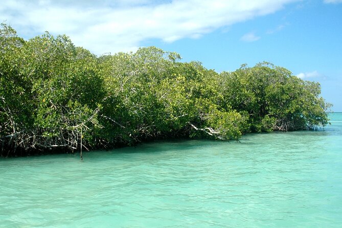 Exclusive Adventure in Saona: Small Group - Why this Saona day works well