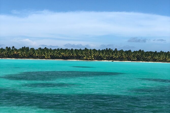 Exclusive Adventure in Saona: Small Group - Three hours on the white-sand beach