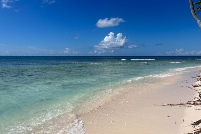 Exclusive Adventure in Saona: Small Group - Group size, comfort, and the full-day pace