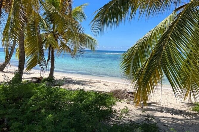 Exclusive Adventure in Saona: Small Group - Catuano: a practical snorkeling stop