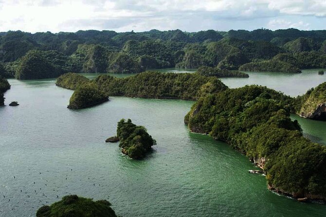 Excursion Los Haitises + Cayo Levantado (Bacardí Island) from Santo Domingo - Key points to know before booking