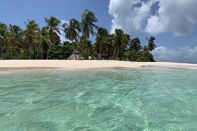 Excursion Los Haitises + Cayo Levantado (Bacardí Island) from Santo Domingo - Why Los Haitises is worth the effort