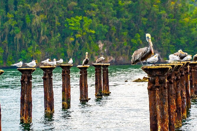 Excursion Los Haitises + Cayo Levantado (Bacardí Island) from Santo Domingo - Who will enjoy this day most