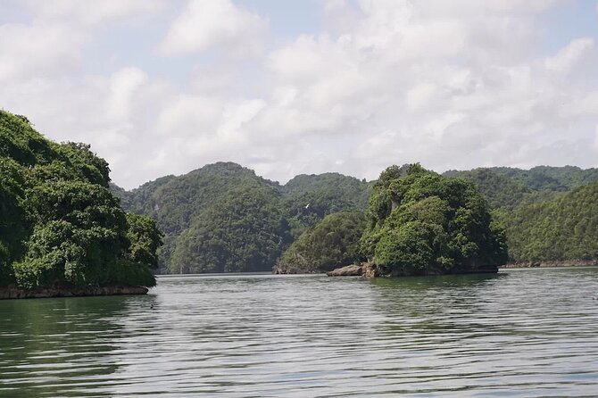 Excursion Los Haitises + Cayo Levantado (Bacardí Island) from Santo Domingo - Los Haitises: caves, Taíno art, and open water