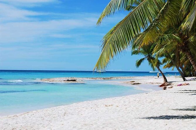 Excursion to Catalina Island and Snorkeling from Punta Cana - Catalina’s beach gives the day a second half