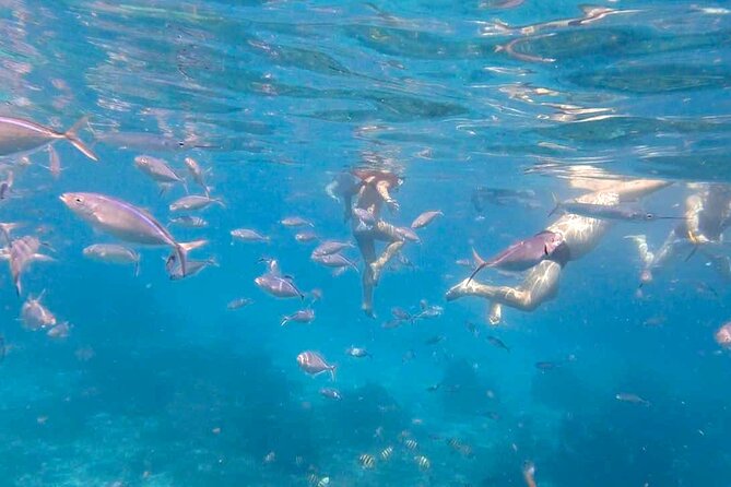 Excursion to Catalina Island and Snorkeling from Punta Cana - Who will enjoy this Catalina Island day