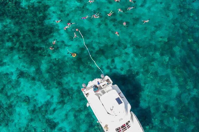 Excursion to Catalina Island and Snorkeling from Punta Cana - Snorkeling at The Wall