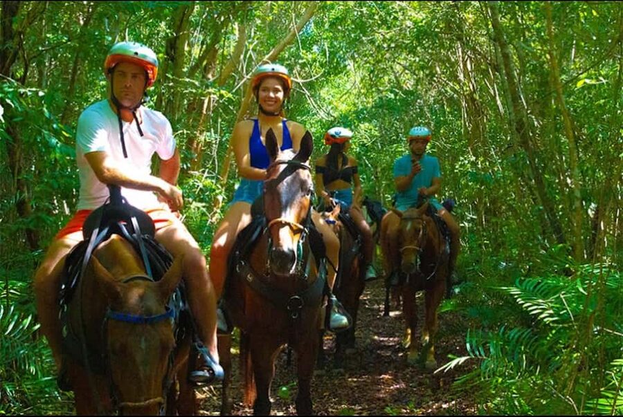 Exhilarating Buggy Tours: Discover Punta Cana Scenic Wonders - A Note About the Activity Details