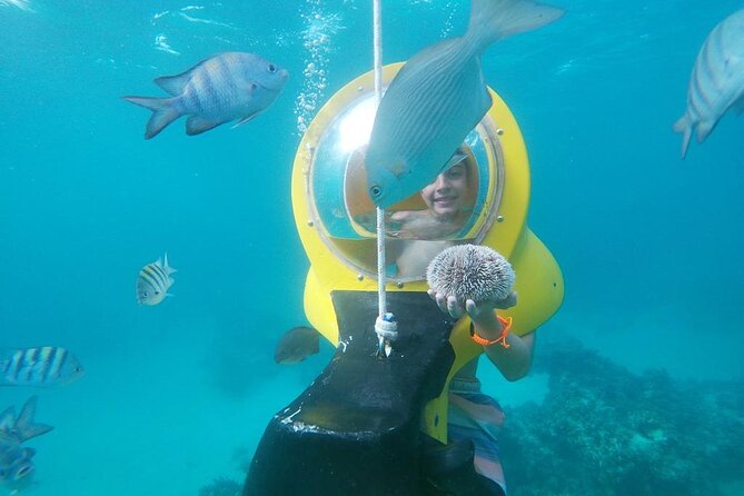 Experience a Submarine Scooter with ScubaDoo Punta Cana - The boats and the glass-bottom view