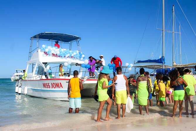 Experience for families and friends by private boat with pick-up - The five-minute dolphin viewing stop