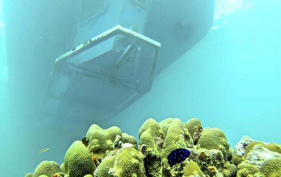 Experience the Exciting Caribbean Underwater World - Language, crew, and group comfort