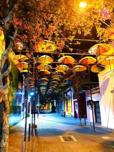 Experience the Nightlife: Puerto Plata + Sosua + Cabarete