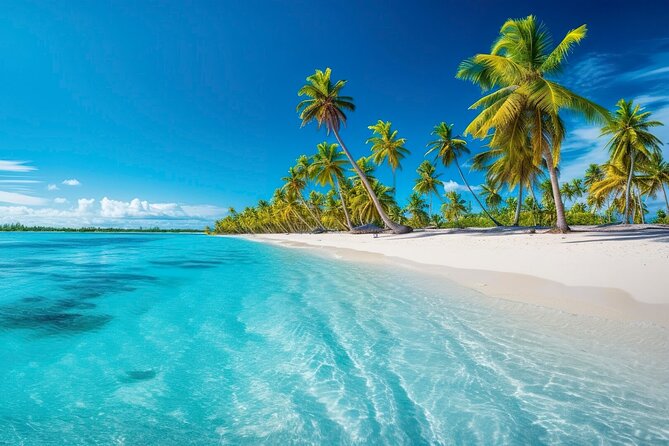 Explore Catalina Island & Snorkeling Adventure from Punta Cana - The real highlight is snorkeling The Wall