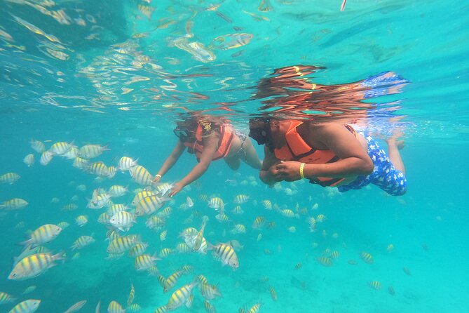 Explore Catalina Island & Snorkeling Adventure from Punta Cana - How much value do you get for $80?