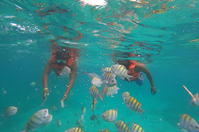 Explore Catalina Island & Snorkeling Adventure from Punta Cana - Who should book this Catalina day?