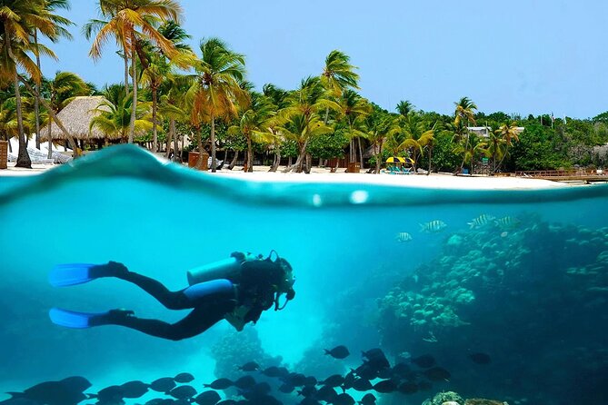 Explore Catalina Island & Snorkeling Adventure from Punta Cana - Should you book it?