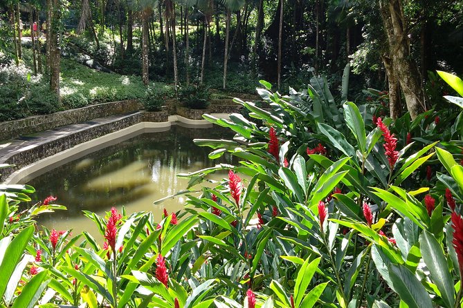 Explore Puerto Plata's Best & Cable Car - Shore Excursion - Mount Isabel de Torres is the star of the day