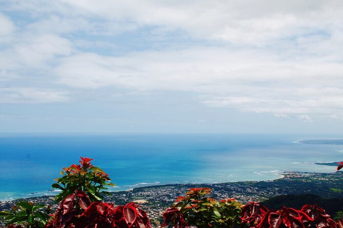 Explore Puerto Plata's Best & Cable Car - Shore Excursion - What the guides add to the experience