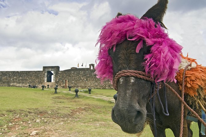 Explore Puerto Plata's Best & Cable Car - Shore Excursion - Parque Central shows Puerto Plata’s older face