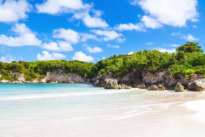 Extreme Boogie Tour in Punta Cana, Macao Beach and Cenote - Coffee, cocoa, rum, and mamajuana at the typical house