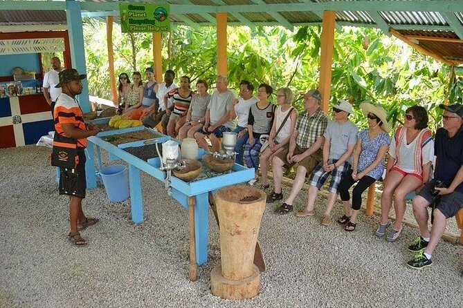 Extreme Buggy Adventure from Punta Cana - A Dominican home, coffee, cocoa, and local customs
