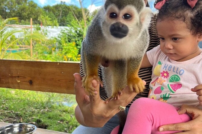 Family ATV Tour & Monkey Private Van - Guides who shape the day