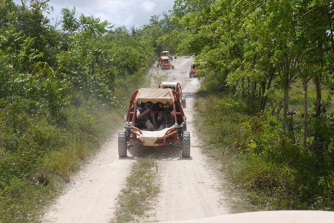 Family Buggy Adventure in Punta Cana - A buggy ride with more than mud