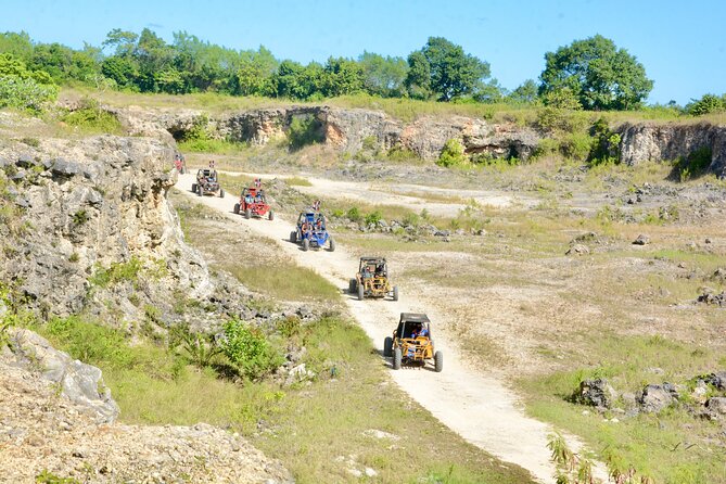 Family Buggy Adventure in Punta Cana – Up to 4 People per Vehicle - Macao Beach adds a change of scenery