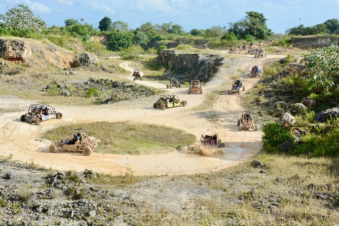 Family Buggy Adventure in Punta Cana – Up to 4 People per Vehicle - Is the $68.75 price good value?