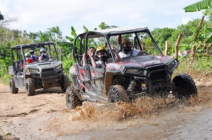 Family Polaris - Suzuka Tours Punta Cana - Who Will Enjoy This Tour Most?
