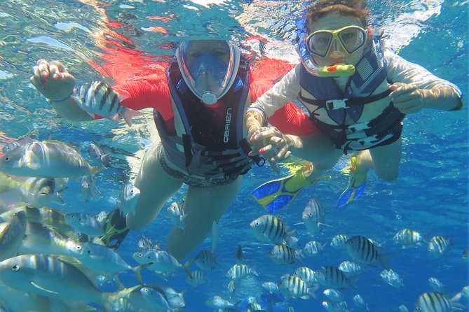 Family Snorkeling Adventure Punta Cana - A three-hour morning on Bávaro Beach