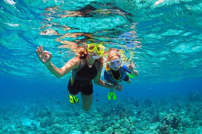 Family Snorkeling Adventure Punta Cana - Crew service and family comfort