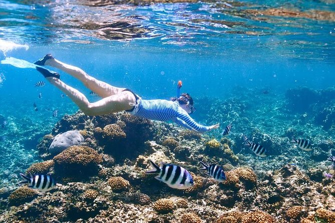 Family Snorkeling Adventure Punta Cana - Planning, cancellation, and weather