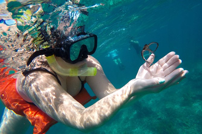 Family Snorkeling Adventure Punta Cana - First stop: coral reefs and tropical fish