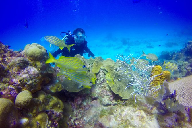 First Time Scuba Diving Experience in Punta Cana - What the $199 cost really covers