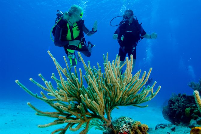 First Time Scuba Diving Experience in Punta Cana - Who will enjoy this Punta Cana outing