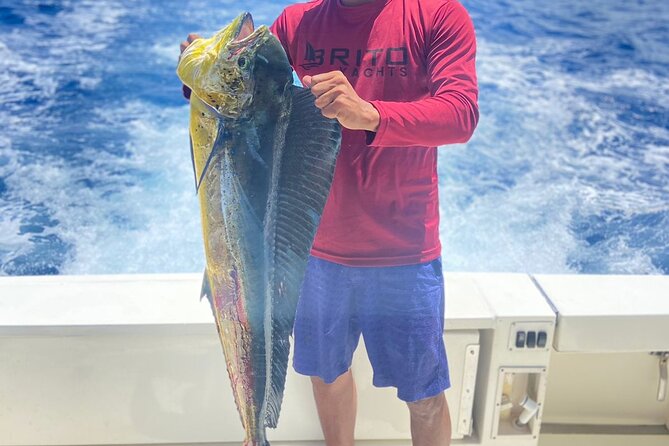 Fishing And Eating Straight From The Sea ( SAONA ISLAND AND PALMILLA) - Why this private yacht day feels different