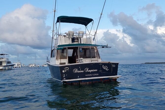 FISHING PRO CHARTERS - Boat Excursion - Divina - A realistic sample day on the water