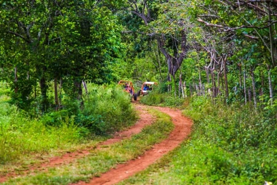 Flintstones Buggy, Cave and Adventure in Bavaro - Who will enjoy this most