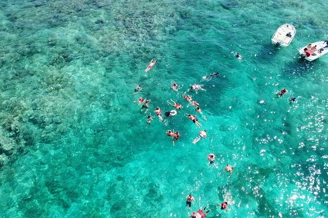 Float & Feast Private Party Cruise with Premium Buffet & Open Bar - Dominican food, snacks, and the open bar