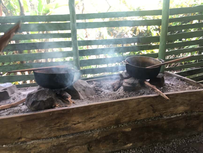 From Bayahibe: Half Day Monkeyland Safari - Who should book this Monkeyland outing?