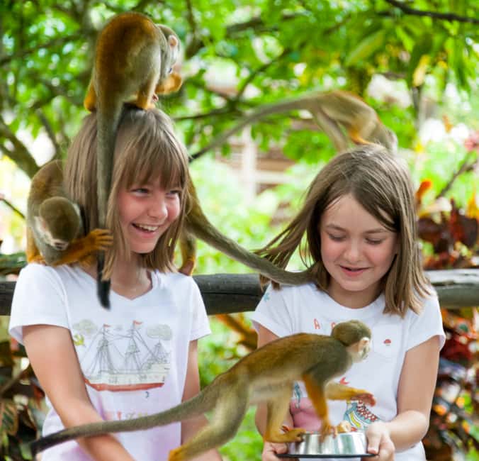 From Bayahibe: Half Day Monkeyland Safari - What your Bayahibe morning looks like