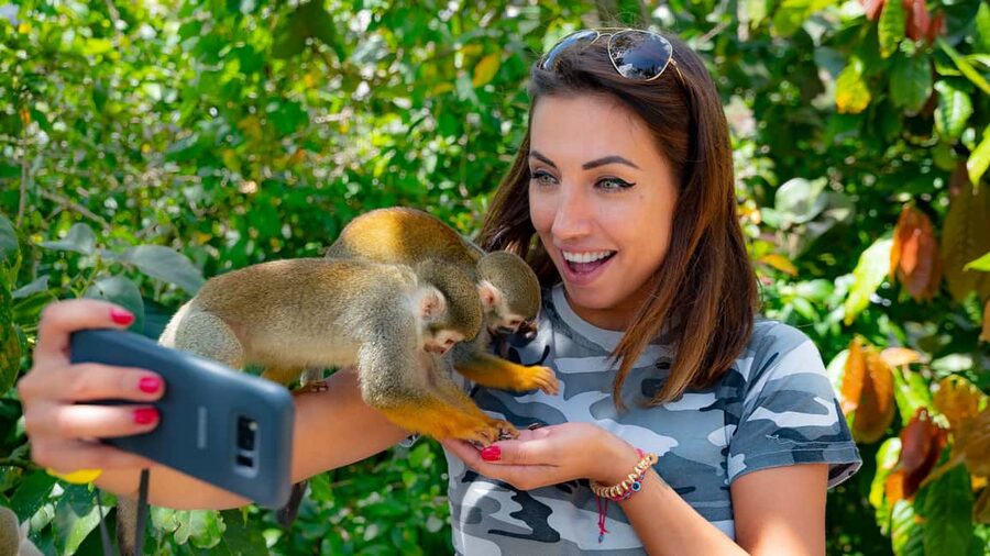From Bayahibe: Half Day Monkeyland Safari - Forty-five minutes with squirrel monkeys